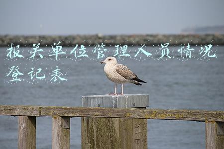 报关单位管理人员情况登记表