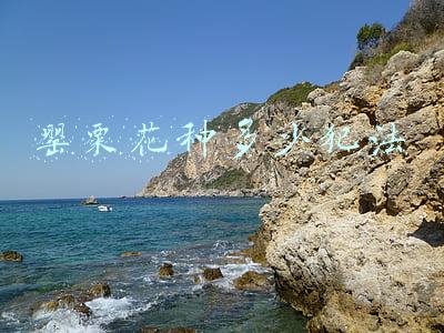 罂粟花种多少犯法