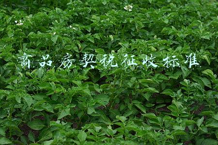 商品房契税征收标准