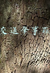 交通肇事罪立案标准(交通肇事罪的立案标准？)