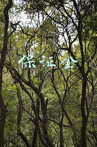 保证金