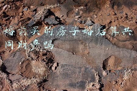 婚前买的房子婚后算共同财产吗