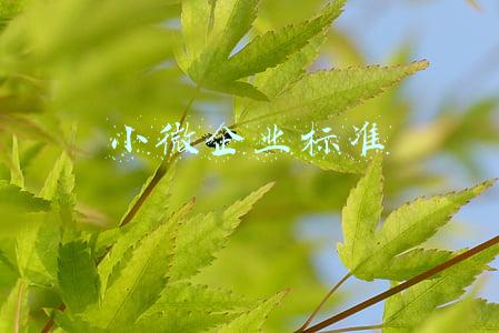 小微企业标准必须同时满足三个条件吗(小微企业最高可贷1000万元)