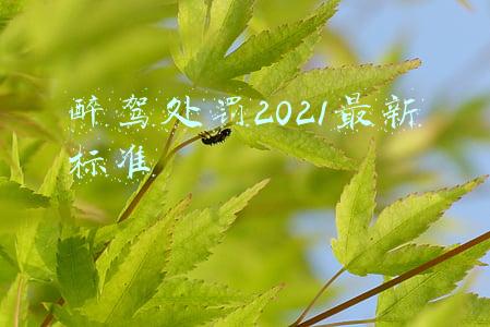 醉驾处罚2021最新标准