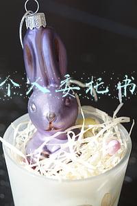 个人委托书
