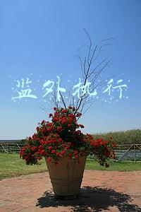 监外执行