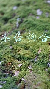 技术咨询合同
