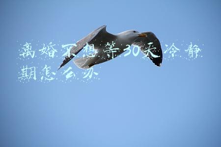 离婚不想等30天冷静期怎么办