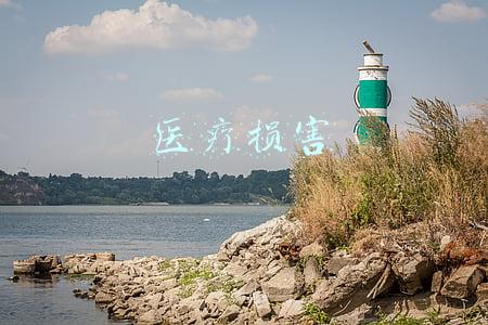 医疗损害