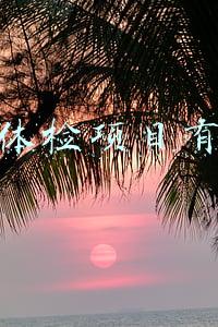 入职体检项目有哪些