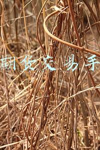股指期货交易手续费