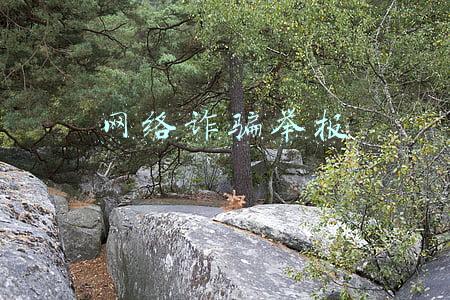 网络诈骗举报