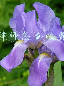 律师怎么收费的,收费比例(关于进一步规范律师服务收费的意见)