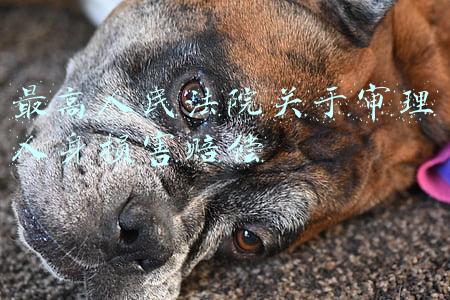 最高人民法院关于审理人身损害赔偿