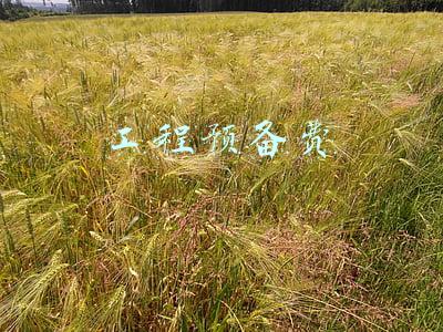 工程预备费包括哪些内容?(工程预备费是用来干什么的)