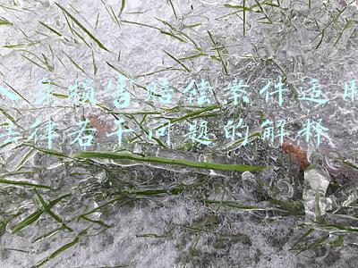 人身损害赔偿案件适用法律若干问题的解释