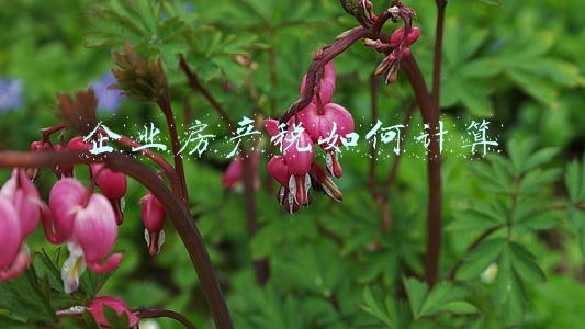 企业房产税如何计算