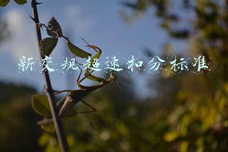 新交规超速扣分标准