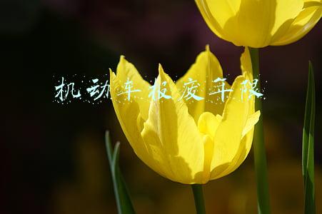 机动车报废年限