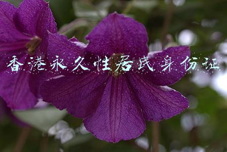 香港永久性居民身份证