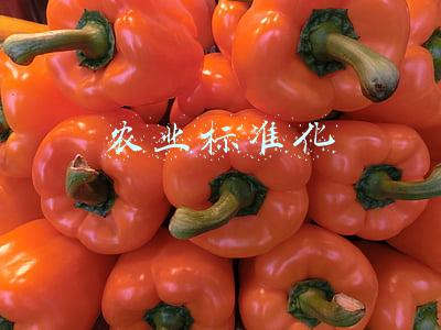 农业标准化生产模式(以标准化助推农业发展升级)