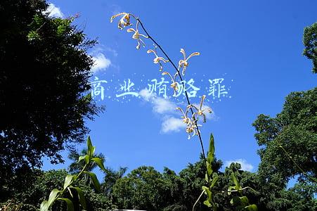 商业贿赂罪