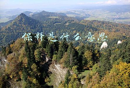 保释是什么意思