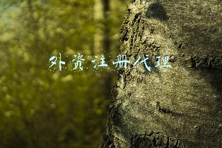 外资注册代理
