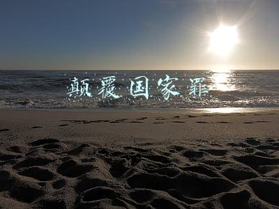 颠覆国家罪