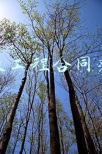 建设工程合同范本