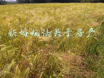 新婚姻法关于房产分割的法律条文(最高法：离婚后财产分割纠纷涉及不动产，是否适用专属管辖？)