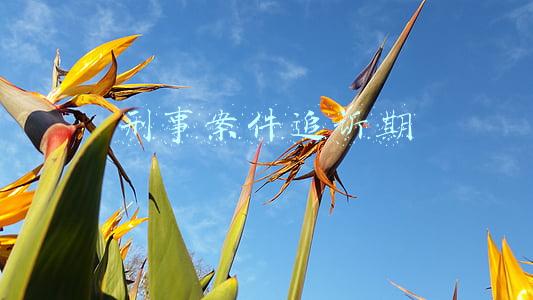 刑事案件追诉期