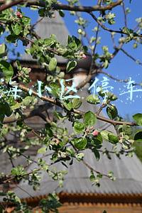 上海小区停车费