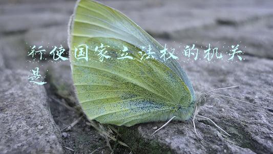 行使国家立法权的机关是