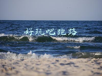 好玩吧跑路最新消息网(《王爷您批条子吧》满眼都是钱女主x穷得只剩钱男主)
