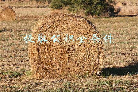 离职提取公积金条件(职工离职提取公积金需要什么条件？)