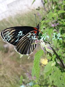 企业房产证办理流程
