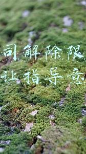 解除限售期解除限售股份上市流通的提示性公告(山东玉马遮阳科技股份有限公司 关于首次公开发行前已发行股份部分解除限售并上市流通的提示性公告)