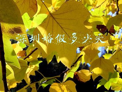 深圳婚假多少天