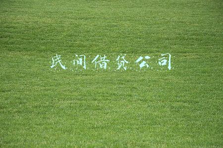 郑州民间借贷公司(有合伙关系却以民间借贷起诉，被告方的质证、举证及代理意见)