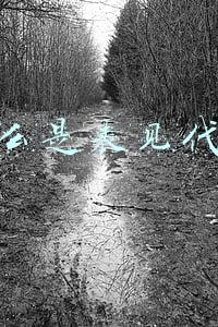 什么是表见代理