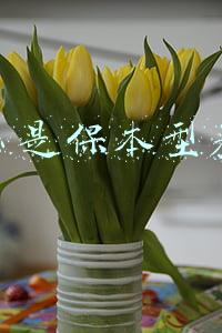 什么是保本型基金