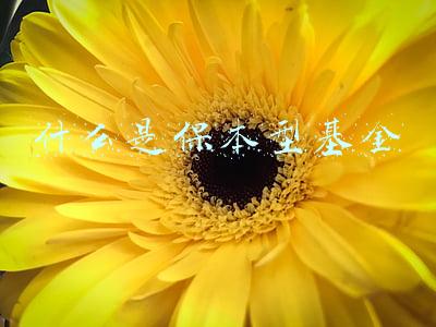 什么是保本型基金