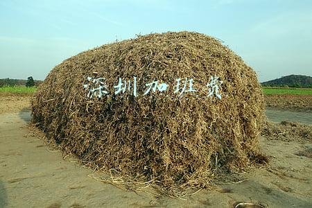 深圳加班费