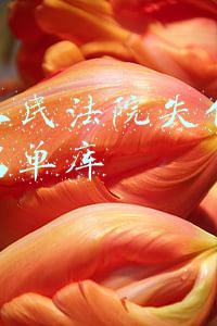 最高人民法院失信被执行人名单库