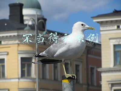 恶意不当得利案例(以案释法---严某与机电公司不当得利纠纷案)
