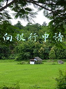如何向银行申请贷款