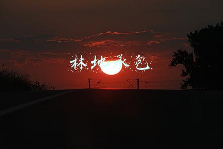 林地承包