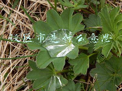 本土疫情所在设区市是什么意思(苏州市疫情防控2022年第139号通告)
