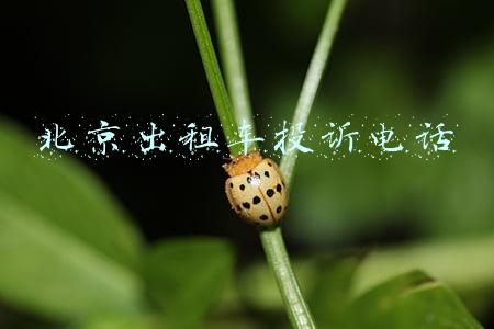 北京出租车投诉电话